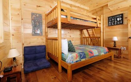 Beartastic Mountain View Lodge - image 27