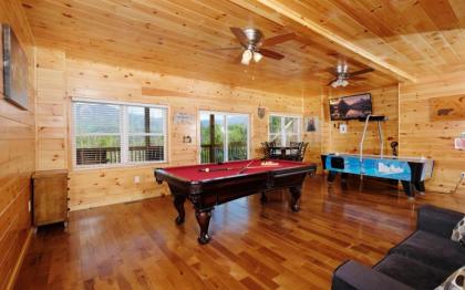 Beartastic Mountain View Lodge - image 8