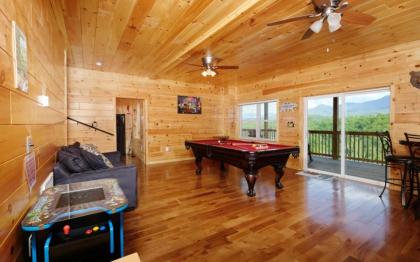Beartastic Mountain View Lodge - image 9
