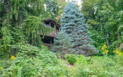 Three Pines 2139 - image 4