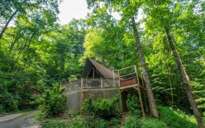 Shepherds Crook 1127 - image 24