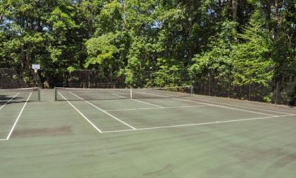 Chestnut Bearadise - image 8