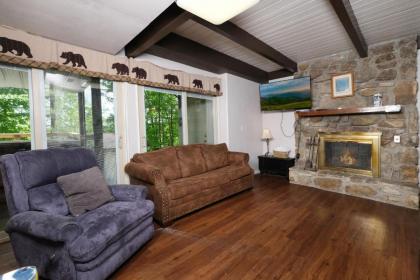 Bear View Chalet - image 14