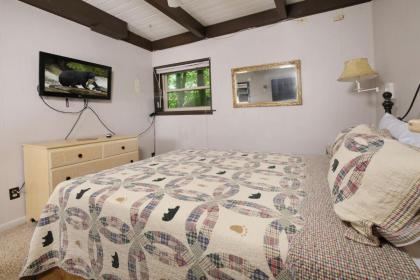 Bear View Chalet - image 17