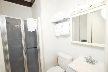 Bear View Chalet - image 19