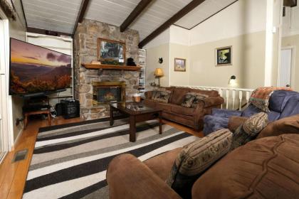 Bear View Chalet - image 3