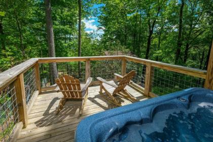 Bear View Chalet - image 4