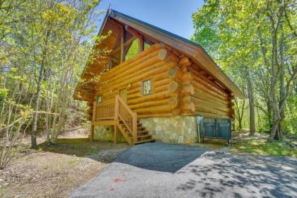 American Views cabin - image 15