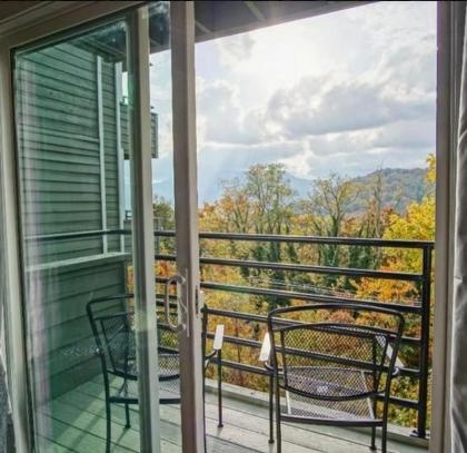 Mountain Top Adventure Condo - image 19