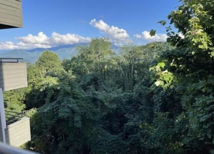 Mountain Top Adventure Condo - image 2