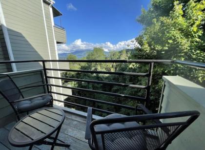 Mountain Top Adventure Condo - image 20