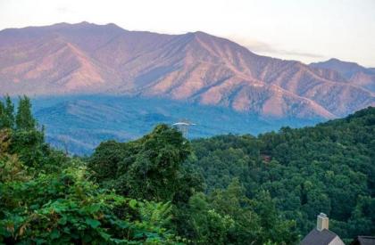 Mountain Top Adventure Condo - image 22
