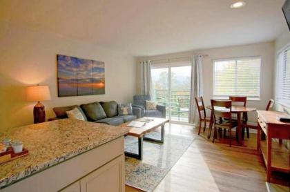 Mountain Top Adventure Condo - image 3