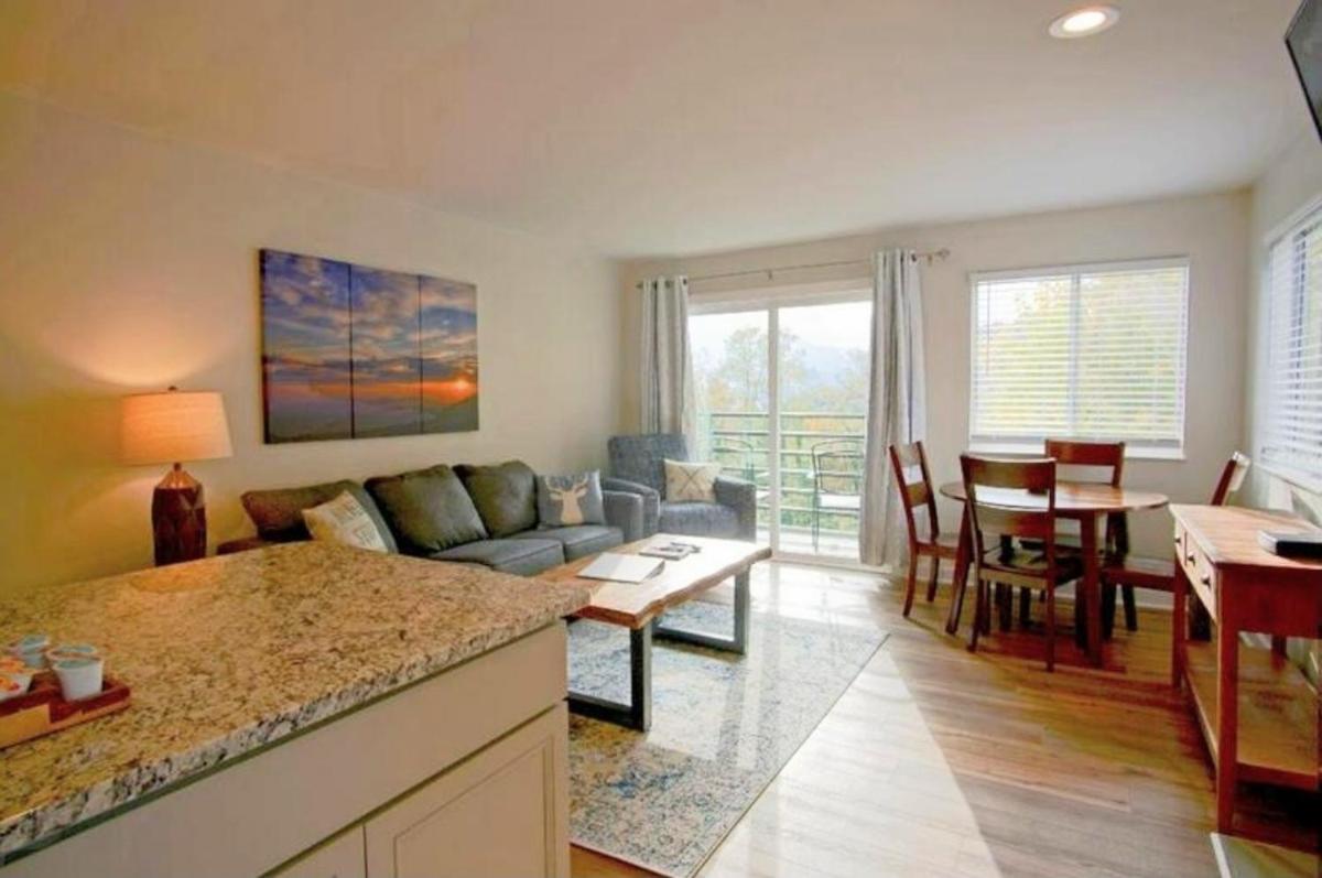 Mountain Top Adventure Condo - image 3