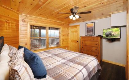 The Song Bird - image 21