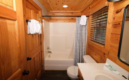 The Song Bird - image 23