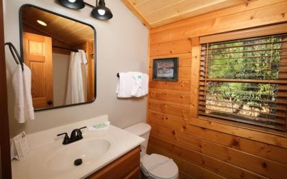 The Song Bird - image 26