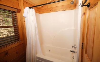 The Song Bird - image 27