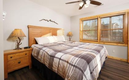 The Song Bird - image 28