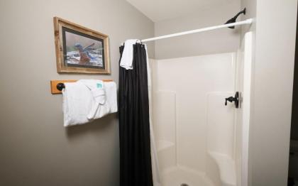 The Song Bird - image 29