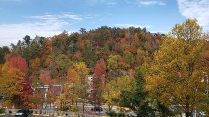 Gatlinburg Chateau Condo 307 - image 12