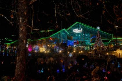 Gatlinburg Chateau Condo 307 - image 17