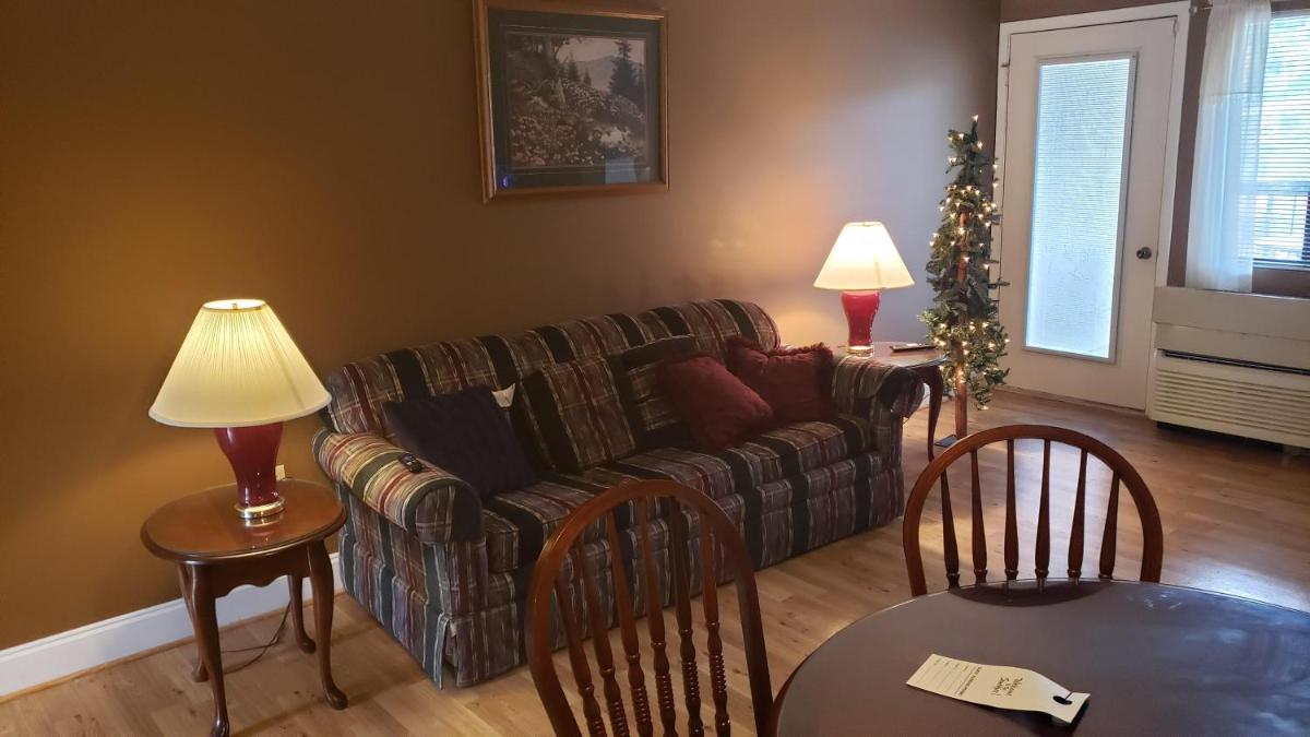 Gatlinburg Chateau Condo 307 - image 2