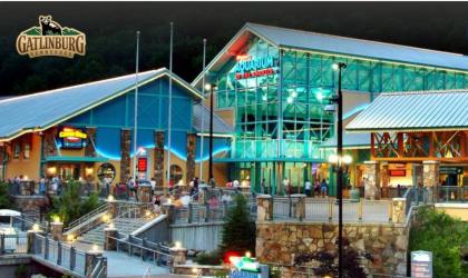 Gatlinburg Ski Week 2 Bedroom 2 Bath Full Kitchen Sleeps n6834 - image 14