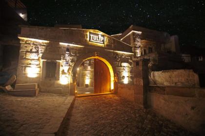 Tulip Cave Suites - image 8