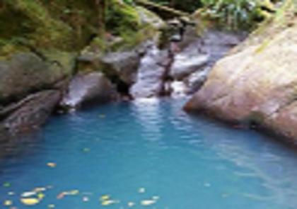Mayol' Villa - image 4