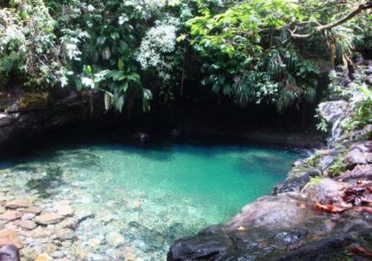 Mayol' Villa - image 5