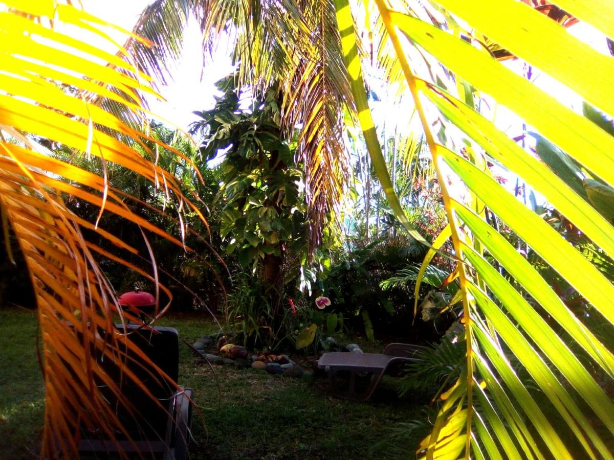 Mayol' Villa - image 7