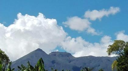Bungalow with one bedroom in Capesterre Belle Eau with wonderful mountain view private pool enclosed garden 12 km from the beach - image 15