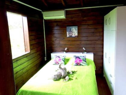 Bungalow with one bedroom in Capesterre Belle Eau with wonderful mountain view private pool enclosed garden 12 km from the beach - image 4