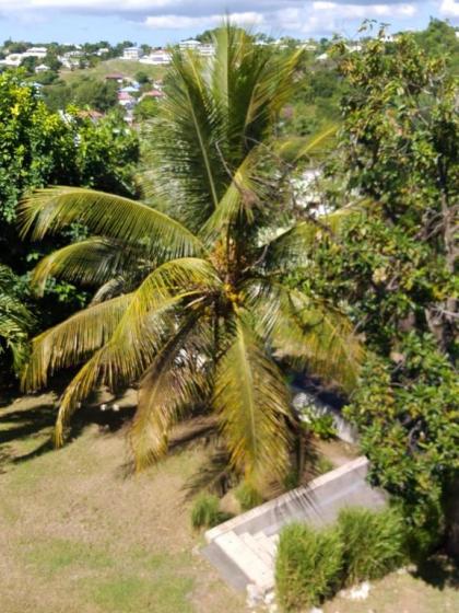 Maison de 2 chambres avec jardin clos et wifi a Le Gosier a 3 km de la plage - image 18