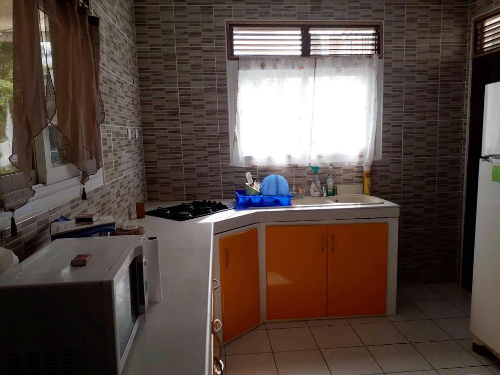 Maison de 3 chambres avec vue sur la mer terrasse et wifi a Vieux Habitants - image 3