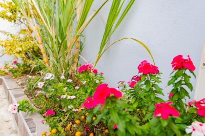 Les paisibles villas C & G - image 2