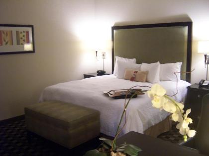 Hampton Inn & Suites Houston-Bush Intercontinental Airport - image 8