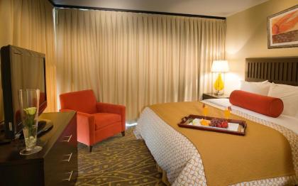 Embassy Suites by Hilton Houston-Energy Corridor - image 12