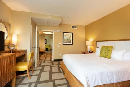 Embassy Suites Houston - Downtown - image 13