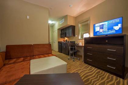 Holiday Inn Hotel Houston Westchase an IHG Hotel - image 7