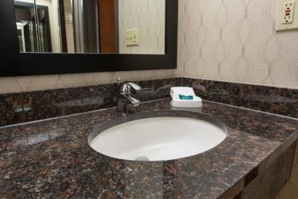 Drury Inn & Suites Houston Galleria - image 8