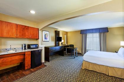 Holiday Inn Express Hotel & Suites Houston-Downtown Convention Center an IHG Hotel - image 9