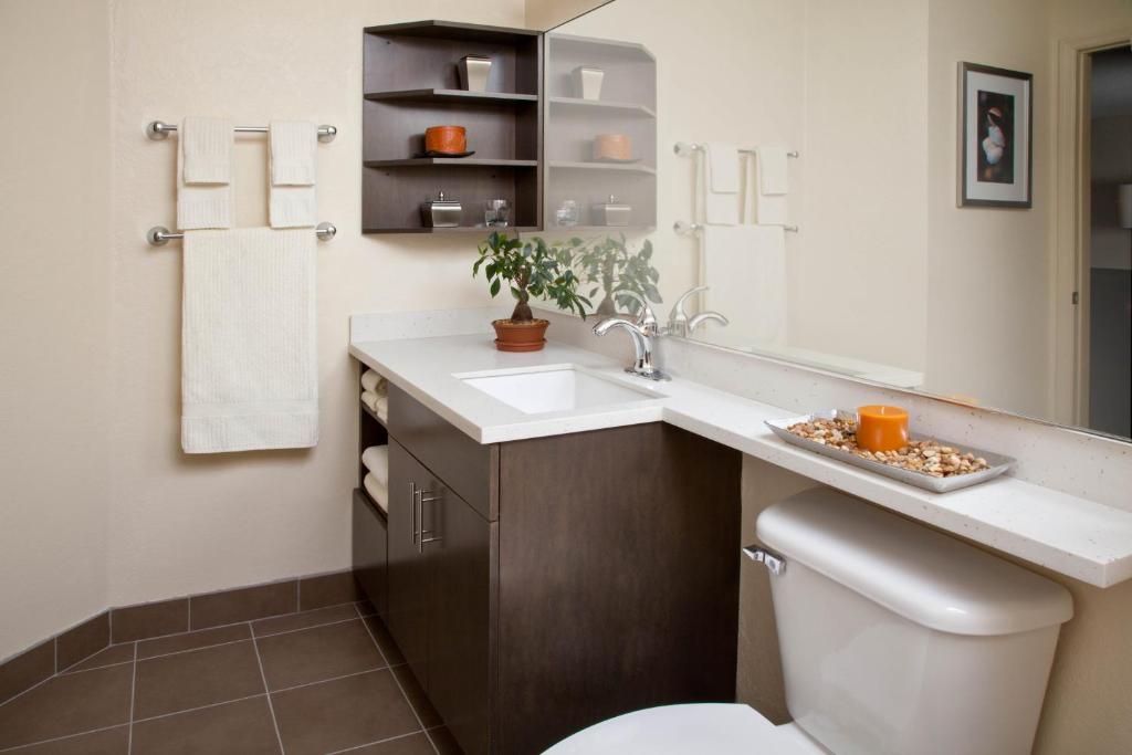 Sonesta Simply Suites Houston Galleria Medical Center - image 5