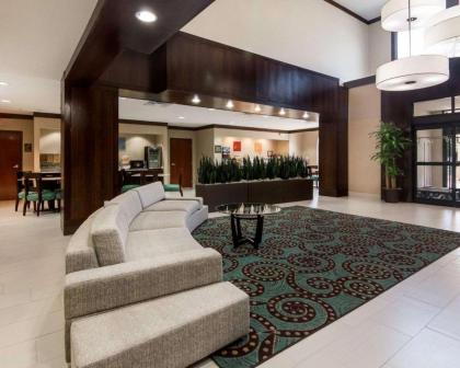Comfort Suites Houston West At Clay Road - image 9