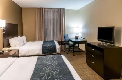 Comfort Suites Hobby Airport - image 12