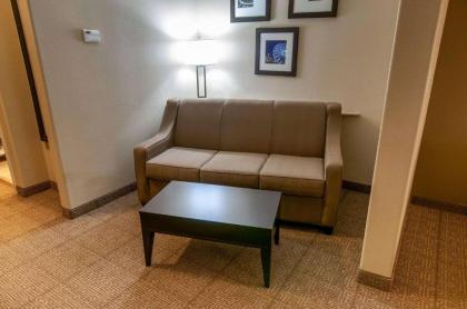 Comfort Suites Hobby Airport - image 17