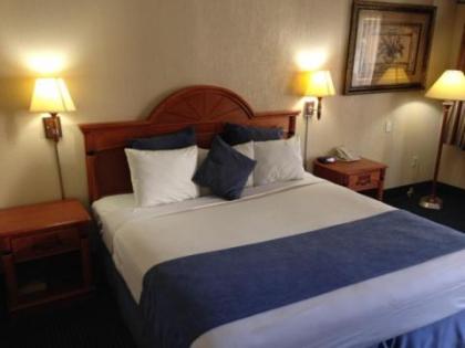 Downtowner Inn and Suites - Houston - image 16