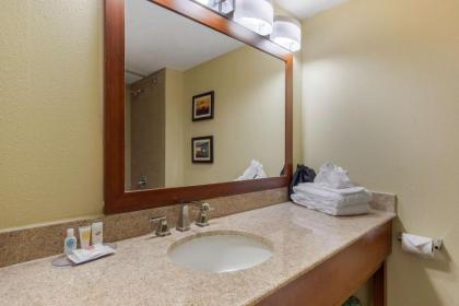 Comfort Inn & Suites SW Houston Sugarland - image 17
