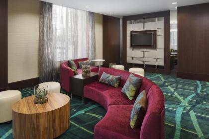 SpringHill Suites by Marriott Houston Downtown/Convention Center - image 10
